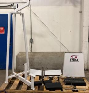Cybex Selectorized Lat Pulldown Machine, 250 lb Weight Stack, Commercial Grade, Adjustable Pads