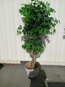 Artificial Ficus Tree, 5.5 ft, Green Silk Leaves, White Wicker Basket, Indoor Decorative Plant