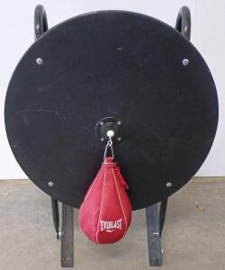 Wall Mounting Speed Bag Platform With Steel Stand And Everlast Speed Bag, 24" Platform Diameter