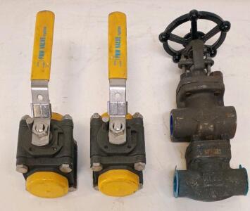 Jenkins 1" Forged Steel Gate Valve & 2x TW Valve 1" Forged Steel Ball Valves, Socket Weld