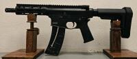 Smith & Wesson M&P 15-22P Pistol, .22 LR, 8" Barrel, AR-Style, Arm Brace, WAA9134 - 4