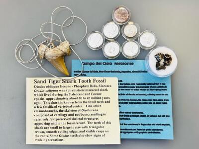 Fossil Shark Tooth Pendant, 14x 1G .999 Silver Rounds, Campo Del Cielo Meteorite & Info Cards