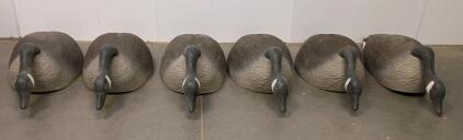 Set Of 6 Field Canada Goose Feeder Decoys, Realistic Plastic, Feeder Pose, 24" Length