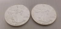 (2) 1 Troy Oz Fine Silver Liberty Rounds