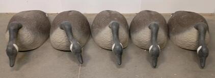 Set Of 5 Field Canada Goose Feeder Decoys, Realistic Plastic, Feeder Pose, 24" Length
