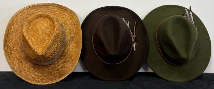 3 Western Straw & Alpine Felt Hats &ndash; Feather Accents, Wide Brims, Decorative Bands