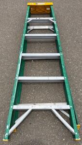 Davidson 6 Ft Type II Fiberglass Stepladder, Model 592-06, 225 lb Load, OSHA/ANSI Rated