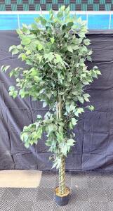 7ft Artificial Ficus Tree &ndash; Braided Trunk, Silk/Plastic Leaves, Black Pot