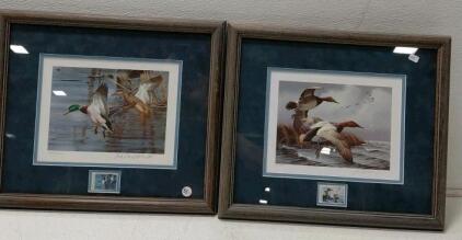 Framed Duck Stamp Prints Set &ndash; Matched Stamps, Wood Frames, Wildlife Art Collection