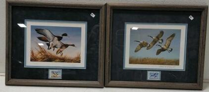 Framed Duck Stamp Prints Set &ndash; Matched Stamps, Wood Frames, Wildlife Art Collection