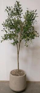 6-Foot Artificial Potted Olive Tree With Faux Black Olives And Decorative Moss