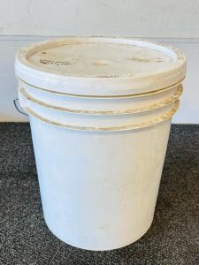 5-Gallon Bucket of Hard White Wheat, 2010 Harvest, Approx. 37-40 lbs, Sealed Snap Lid Container (Location L)