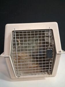 Petmate Pet Porter Hard Plastic Pet Carrier With Wire Door, 26.2" x 18.6" x 16.5"