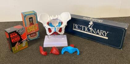 Date Night? Life-Size Female Pelvis Model with Removable Muscles and Organs, PVC, Includes Stand and Lot of Games