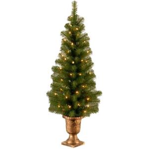 Holiday Living 4 ft Pre-Lit Arctic Pine Tree with 100 Clear Incandescent Lights