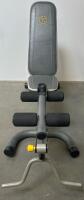 Gold's Gym XRS 20 Adjustable Weight Bench with Leg Developer, 600 lb Capacity, Grey/Yellow - 2