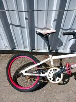 Tony Hawk Park Series BMX Bike &ndash; 20" Wheels, Steel Frame, Single-Speed, Front & Rear Pegs - 3