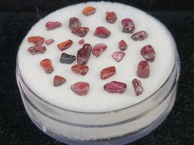 9.10ct Natural Tumbled & Polished Idaho Star Garnets