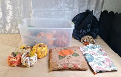 (1) Bin Of Assorted Halloween/ Fall Decor