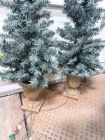 Pair of 4 ft Pre-Lit Artificial Topiary Trees with Decorative Urn Bases, Clear Lights, Plug-In - 4