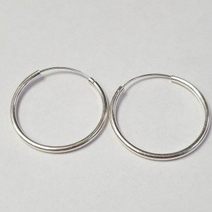 $120 Silver Hoop Earrings