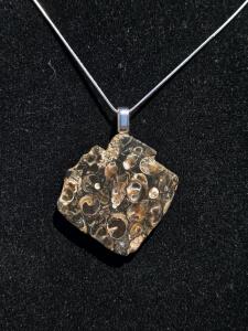 Square Fossil Turritella Agate Pendant, Polished Stone with Silver Bail, 2" Necklace