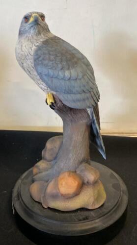 Phil Galatas Northern Goshawk Sculpture &ndash; Handcrafted, Realistic Detailing, 11" H