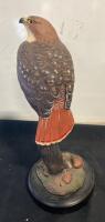 Phil Galatas Red-tailed Hawk Sculpture, Hand-Painted Resin, ~14" Tall, Labeled Base ( SP14 ) - 3