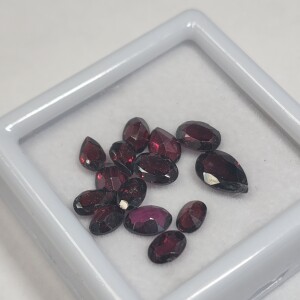 $200 Garnet(APP 10ct)