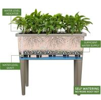 Dexceder 32 Gallon Self-Watering Raised Garden Bed With Lid & Water Indicator, 30x15x26 In - 3