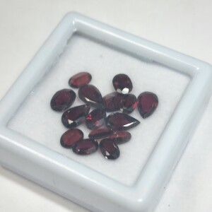 $200 Garnet(APP 10ct)