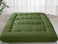 Green 5-Layer Japanese Floor Futon Mattress, Queen Size, High-Density Foam, Portable