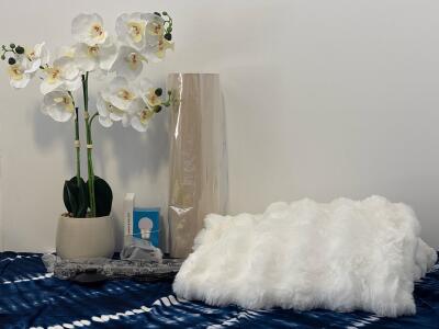 Hoperbright Floor Lamp With 3 Color Lamp Shade, Artificial White Orchid Plant in Gray Pot And Ultra Soft Faux Fur Throw Blanket, Cream White Bubble, 50x60 In, Machine Washable, TXBOBO