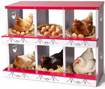 COZOFU 6-Compartment Chicken Nesting Box with Rollaway Egg Collection System