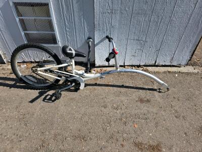 Schwinn Hitchhiker Tag-Along 20" Wheel, Steel Frame, Seatpost Hitch, White, Single Speed
