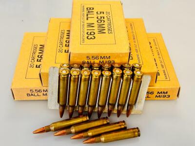 5.56MM M193 Ball, 55Gr FMJ, Brass Case, 20 Rounds/Box, Surplus Ammunition (120 Rounds Total)