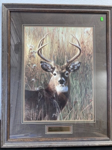 Framed Picture of Deer w/ Scripture