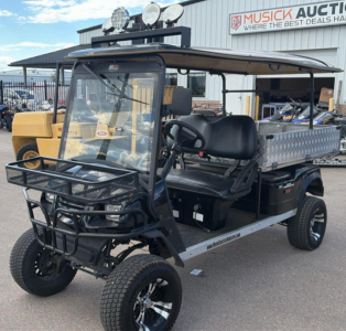 2019 MOTO ELECTRO GOLF CART
