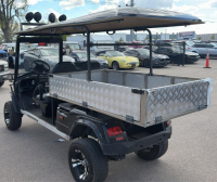 2019 MOTO ELECTRO GOLF CART - 3
