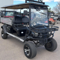 2019 MOTO ELECTRO GOLF CART - 8