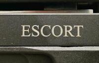 Hatsan ESCORT SDX410 .410 Bore Semi-Auto AR-Style Shotgun, Adjustable Stock, Detachable Magazine, SN 613983 - 8