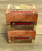 Barnes VOR-TX .44 Rem Mag 225gr XPB HP, 2 Boxes, 40 Rounds, Brass Case, 1375 fps
