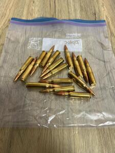 16 Rounds 308 Win Brass FMJ Boxer Primed Ammunition &ndash; Loose Bagged