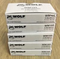 Wolf WM193 5.56x45mm NATO 55 Grain FMJ Ball, 100 Rounds, Brass Case