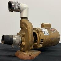 Franklin Electric 1081 Pool Motor, 3/4 HP, 115/230V, 3450 RPM, Model 1104345403