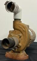 Franklin Electric 1081 Pool Motor, 3/4 HP, 115/230V, 3450 RPM, Model 1104345403 - 2