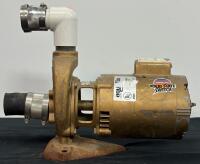 Franklin Electric 1081 Pool Motor, 3/4 HP, 115/230V, 3450 RPM, Model 1104345403 - 3