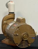 Franklin Electric 1081 Pool Motor, 3/4 HP, 115/230V, 3450 RPM, Model 1104345403 - 4