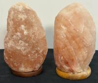 Himalayan Salt Lamps, Watch, Polish Rocks & More (FL 7) - 2