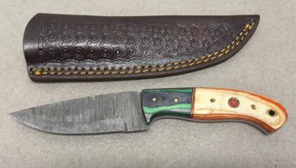 Custom Fixed-Blade Knife, 4" Damascus-Style Blade, Multi-Color Wood Handle, Leather Sheath